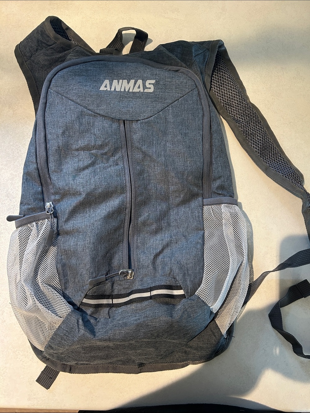 Gray Men's Lightweight Everyday Backpack